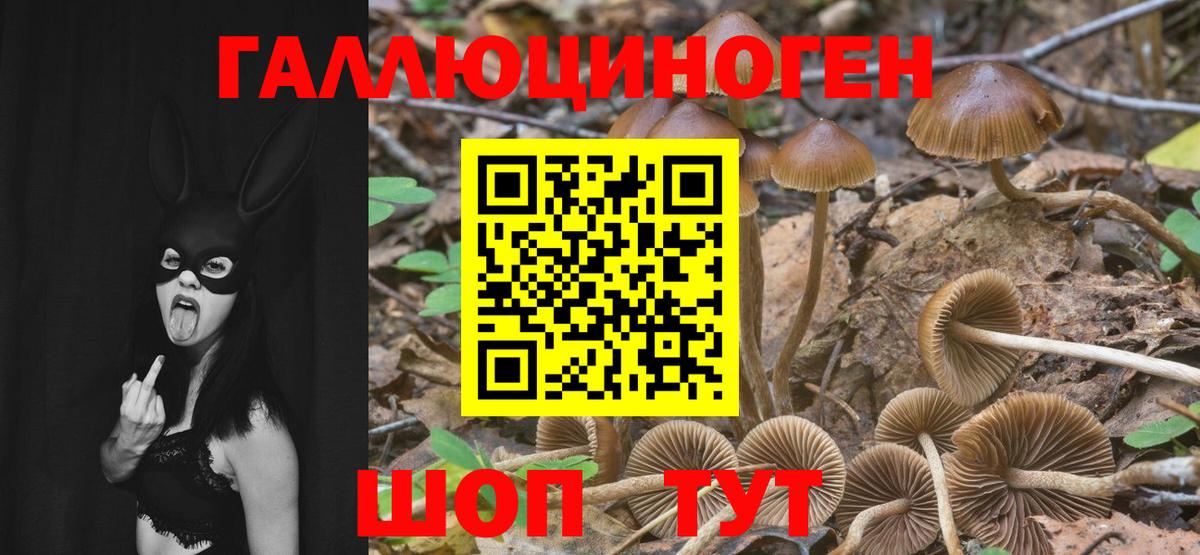 Псилоцибиновые грибы мухоморы Реутов