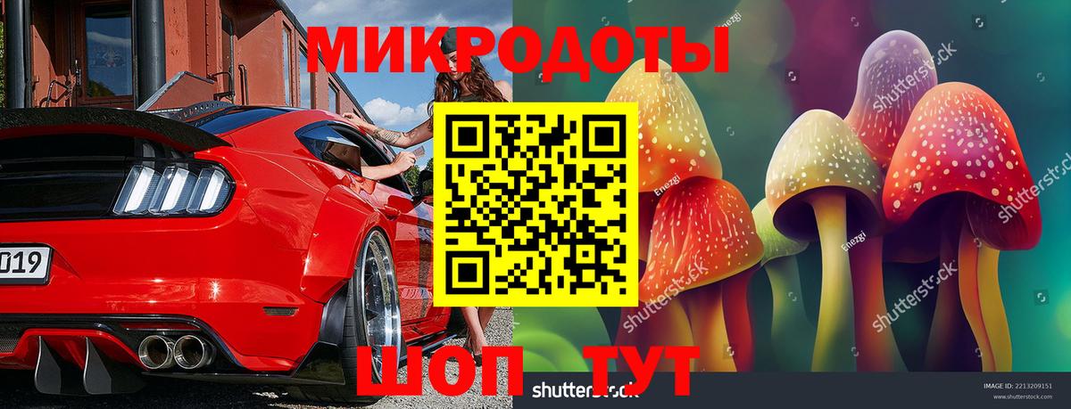 Реутов  Галлюциногенные грибы Psilocybe  Вход с VPN  Галлюциногенные грибы мухоморы 